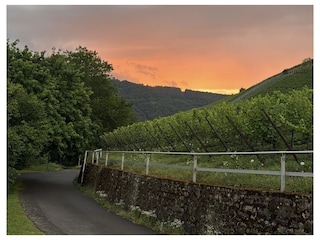 Abendstimmung vorm Haus