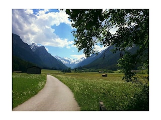 Wiesenweg nach Gschnitz