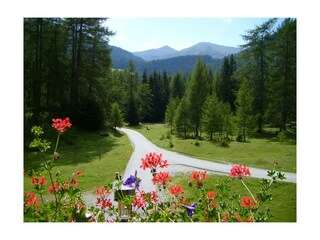 Haus_Waldbauern_Blick_ Richtung_ See