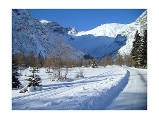 Haus_Waldbauer_vor dem Haus Waldbauer