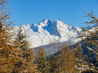 Ausblick-Haus-Waldbauer-Olperer