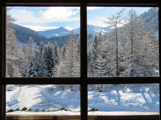 Haus-Waldbauer_im Winter (2)