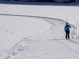 20200201_130258000_iOS