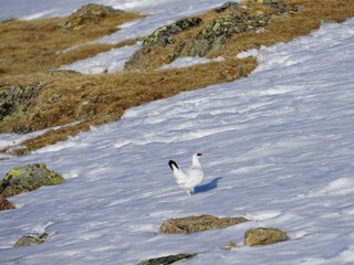 20210331_052232000_iOS