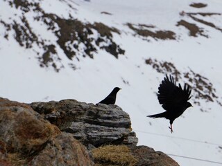 20210331_104406000_iOS