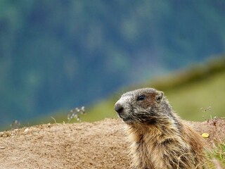 20200719_192736578_iOS