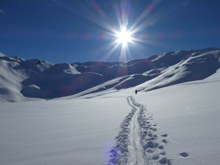 Geier über Klamm 9.2.2019 (2)