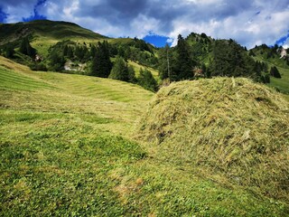 Heuernte auf der Alm