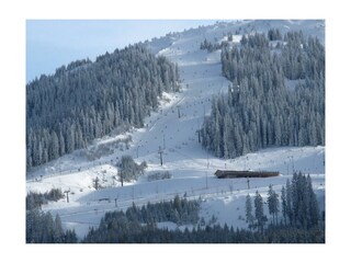 "Bergeralm" Schigebiet Steinach