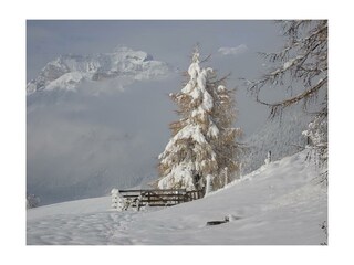 2017_11_7 Schnee 008