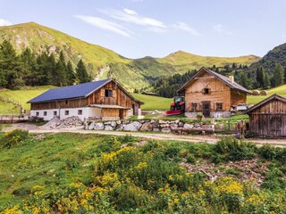 Almi's Steiner Alm in Obernberg, Wipptal-Tirol