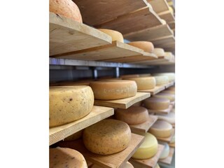 Steineralm Käse