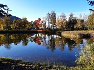 KraftseeHerbst_Trude Lustrik_1