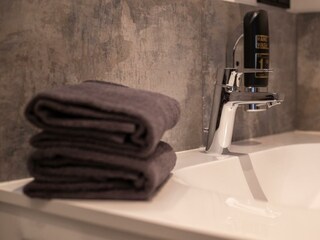 Stadl 03_Waschbecken mit Spender und Handtücher_01