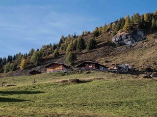 Milsalm