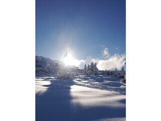 Winterfoto_Landschaft