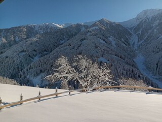 Aussicht Garten_Berge