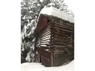Winter_alter Stadl Schneefall_01