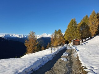 Herbstwinter_3