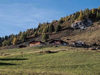 Milsalm