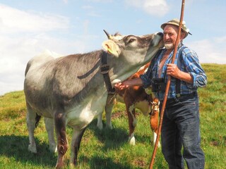 Glückliche Tiere auf der Steiner Alm im Wipptal