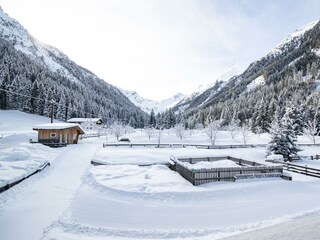 Gasthof-Feuerstein-Gschnitz (16)