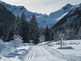 Feuerstein (47 von 48)