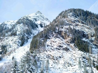 Feuerstein (1 von 1)