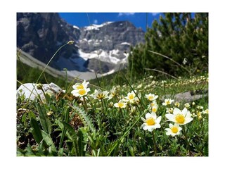 Frühling in Obernberg