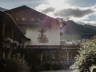 Garten und Terrasse (8)