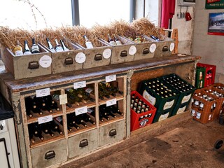 Appartamento per vacanze Oberscheidweiler Caratteristiche 18