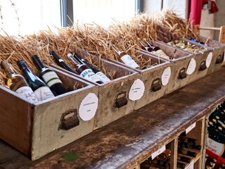 Appartamento per vacanze Oberscheidweiler Caratteristiche 19