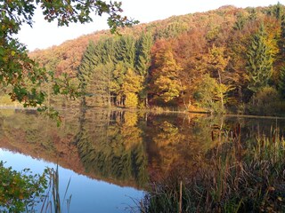 Appartamento per vacanze Oberscheidweiler Ambiente 31