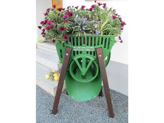 Appartamento per vacanze Oberscheidweiler Caratteristiche 21