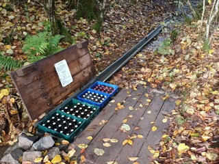 Appartamento per vacanze Oberscheidweiler Ambiente 36