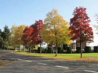 Appartamento per vacanze Oberscheidweiler Ambiente 39