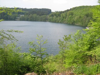 Appartamento per vacanze Oberscheidweiler Ambiente 22