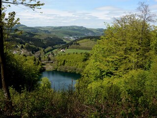 Appartamento per vacanze Oberscheidweiler Ambiente 25