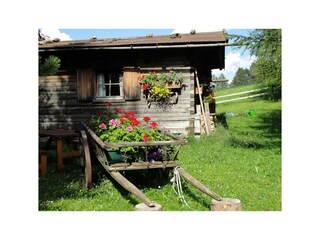 Garten mit Grillhütte und Spielplatz