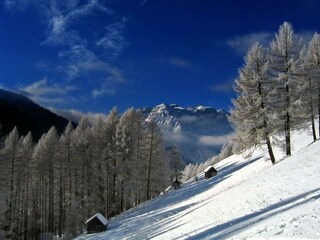 Blick von der Leite zum Tribulaun