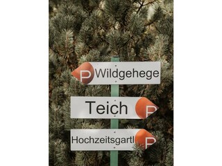 Garten und Terrasse (9)