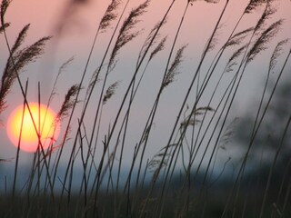 Appartamento per vacanze Illmitz Ambiente 17