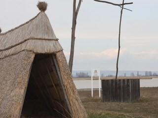 Appartamento per vacanze Illmitz Ambiente 20