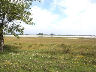 Appartamento per vacanze Illmitz Ambiente 15