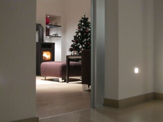 Appartamento per vacanze Illmitz Caratteristiche 11