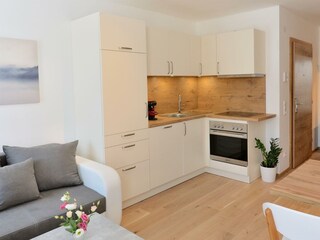 Green-Alpin-Apartments-Matrei-Blaser (8)