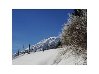 Winterlandschaft Trins