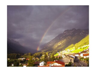 regenbogen harry