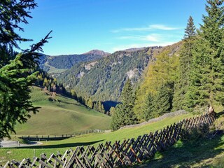 Padaun-im-Herbst