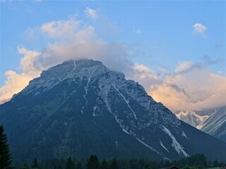 DSC00979  Obernberger Tibulaun_Foto Geir-web-Herbs